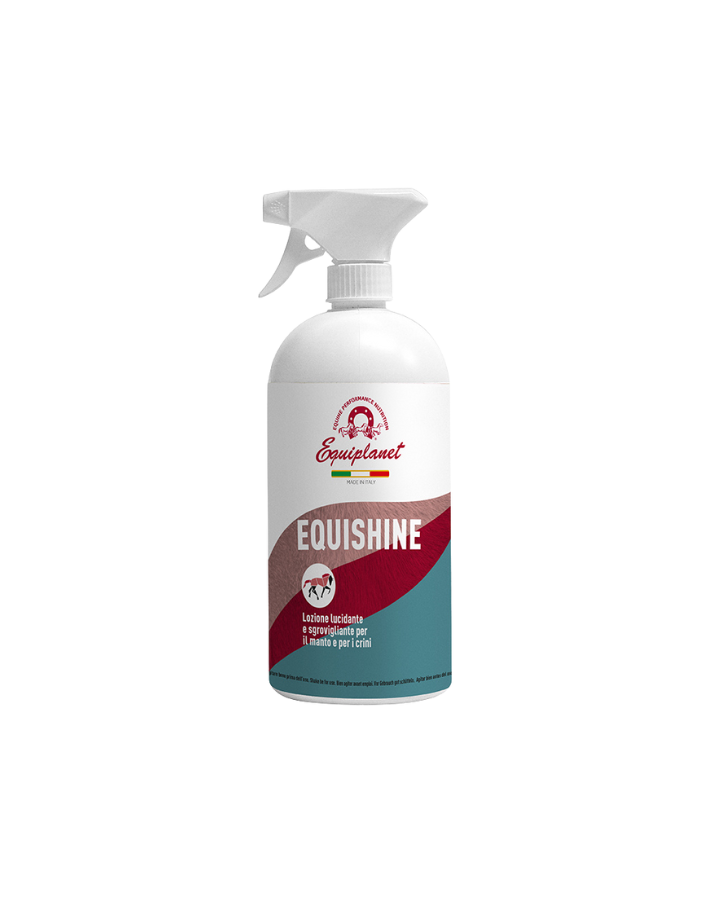 Equishine